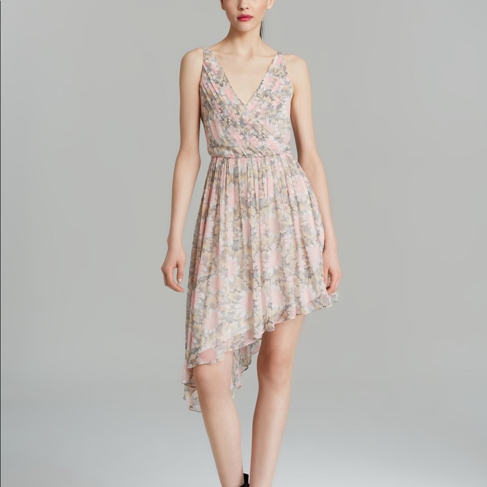 Elizabeth and James Manette Dress